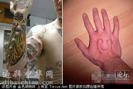 纹...天呐.jpg