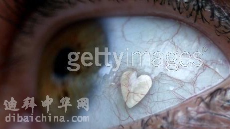 眼球纹.jpg