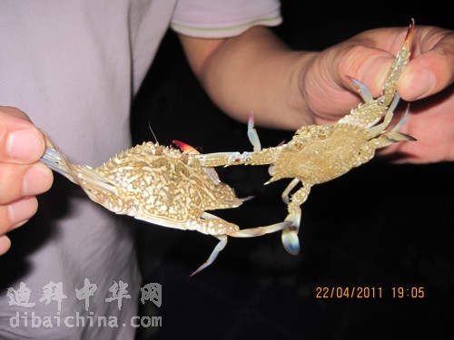 IMG_1616_conew1.jpg