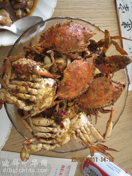 IMG_1648_conew2.jpg