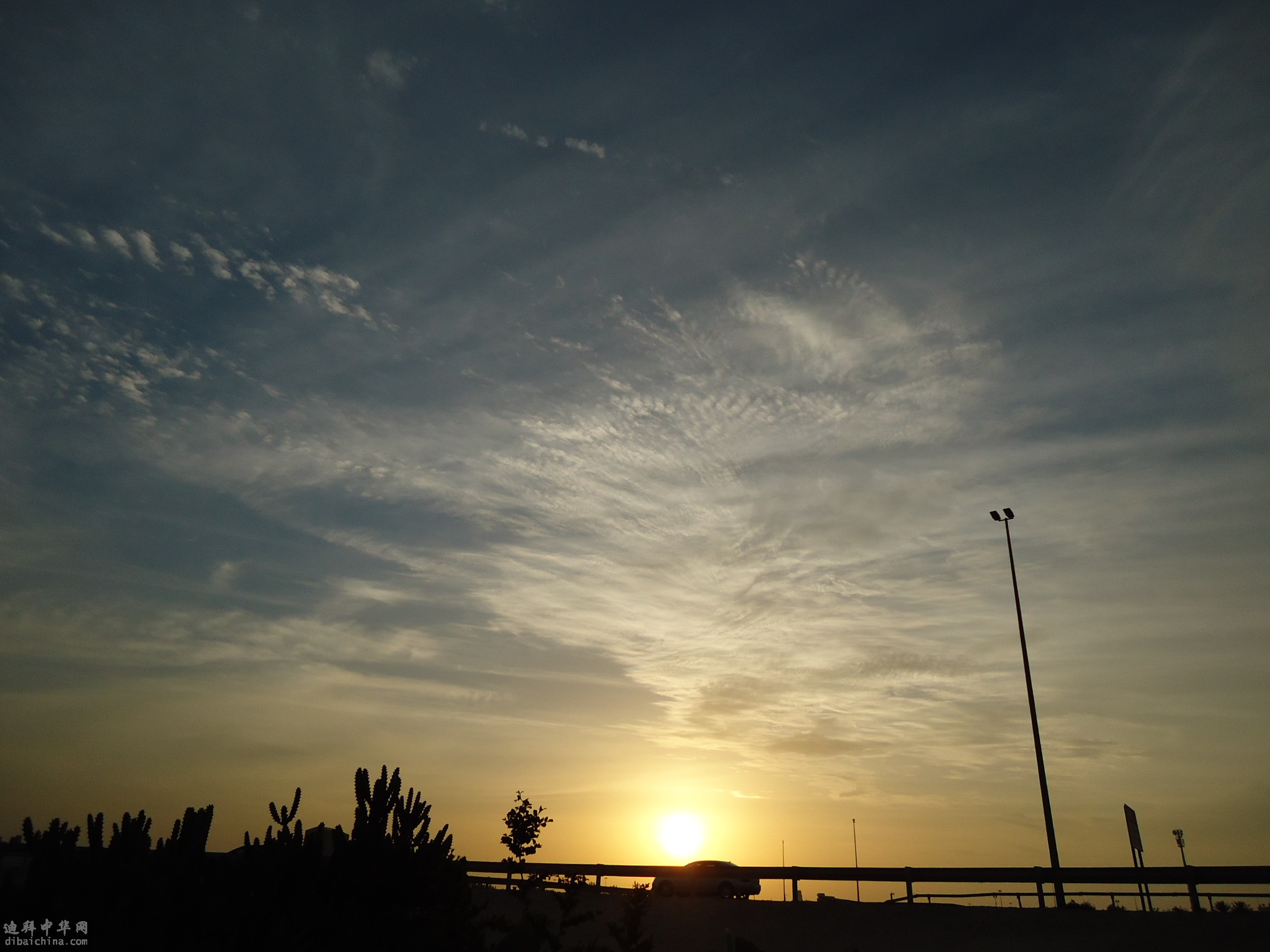 DSC00563.JPG