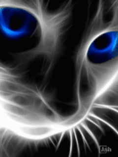 201052816812634.gif