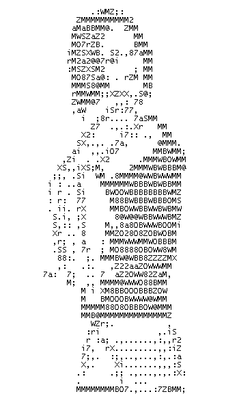 数字美女.jpg