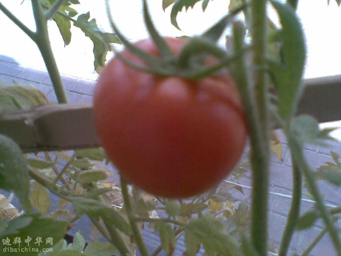 20110512(001).jpg
