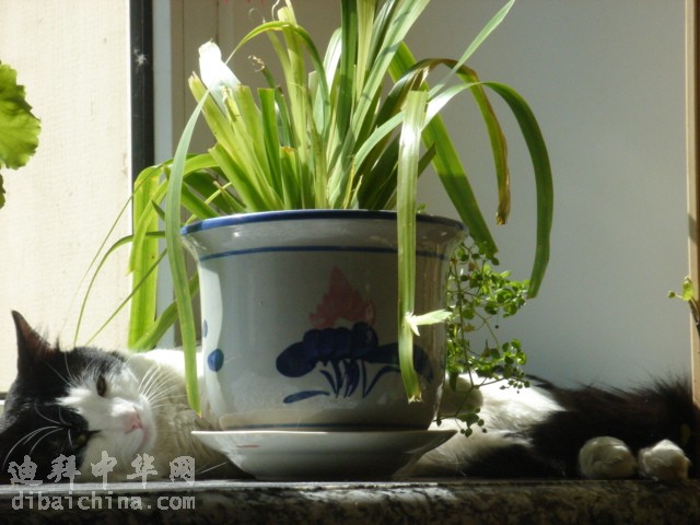 DSC05976.JPG