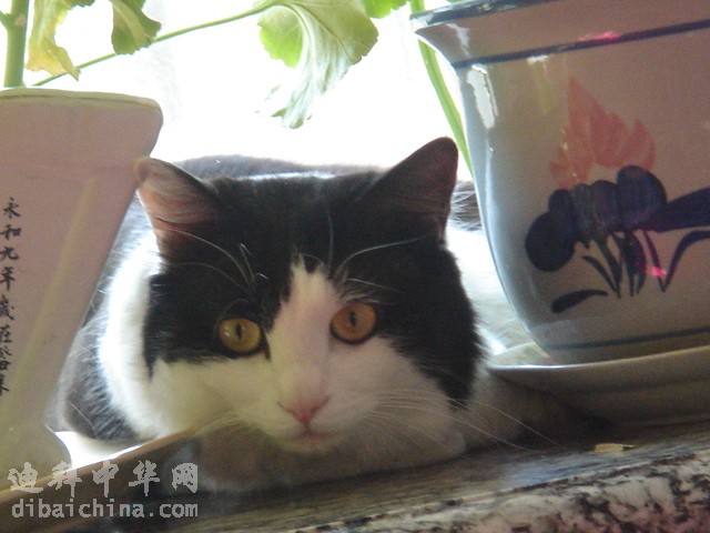 DSC05946.JPG