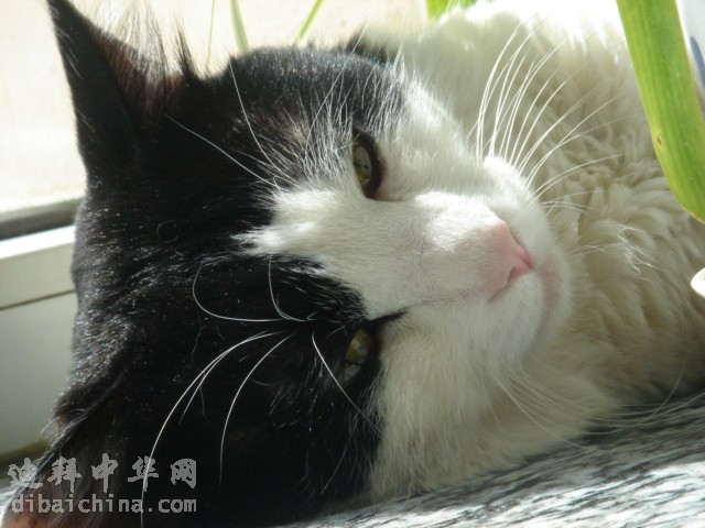 DSC05979.JPG