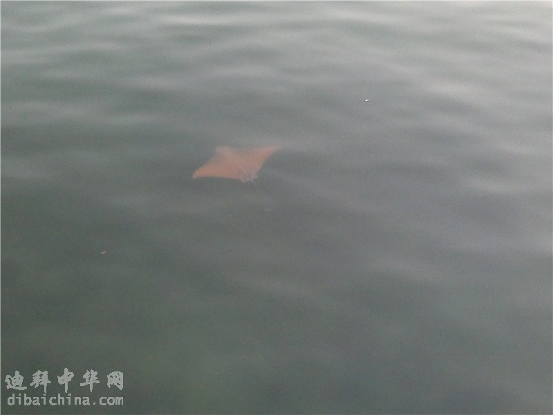 01062011057_副本.jpg
