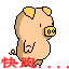 猪.gif