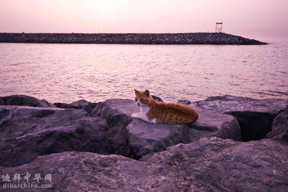 DSC02854-2.jpg