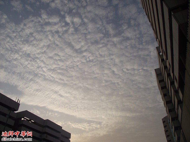 dscf0117_副本.jpg