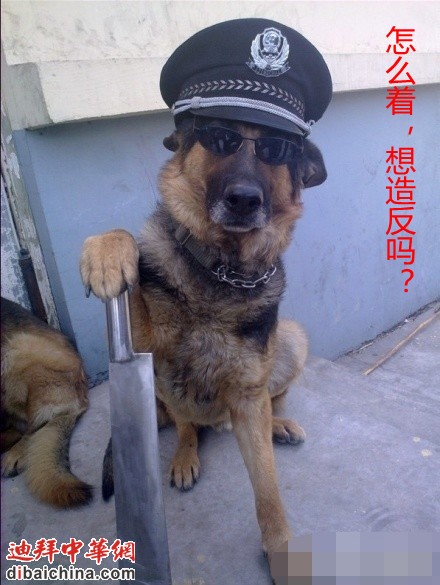 图4_副本.jpg