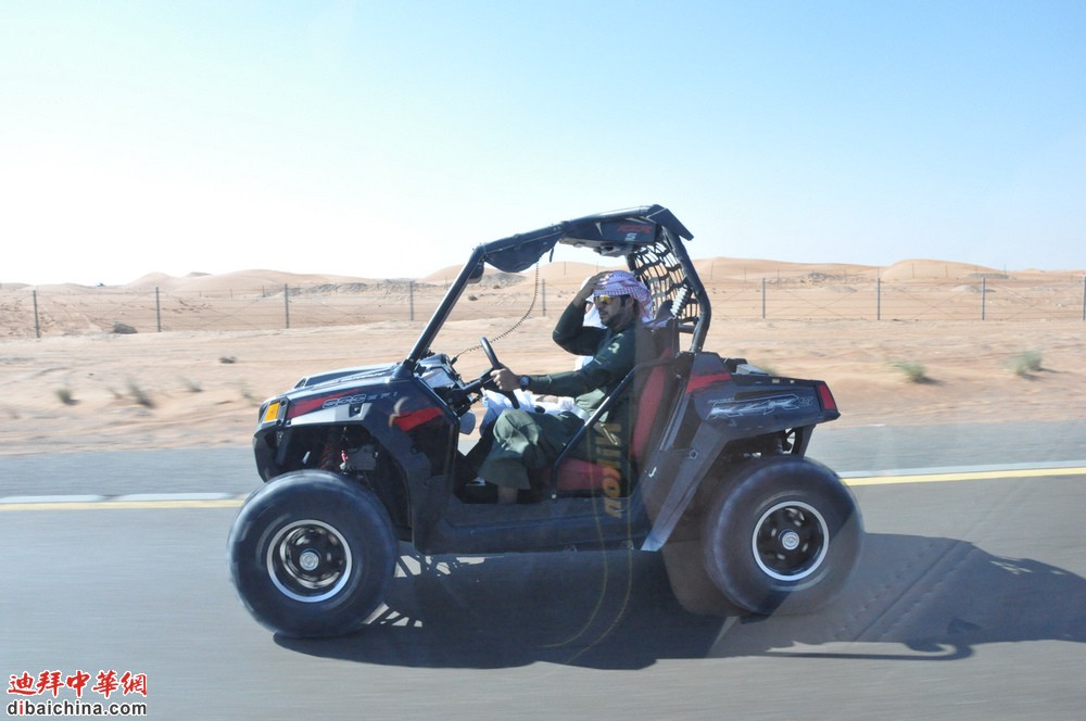 DSC_0783.jpg