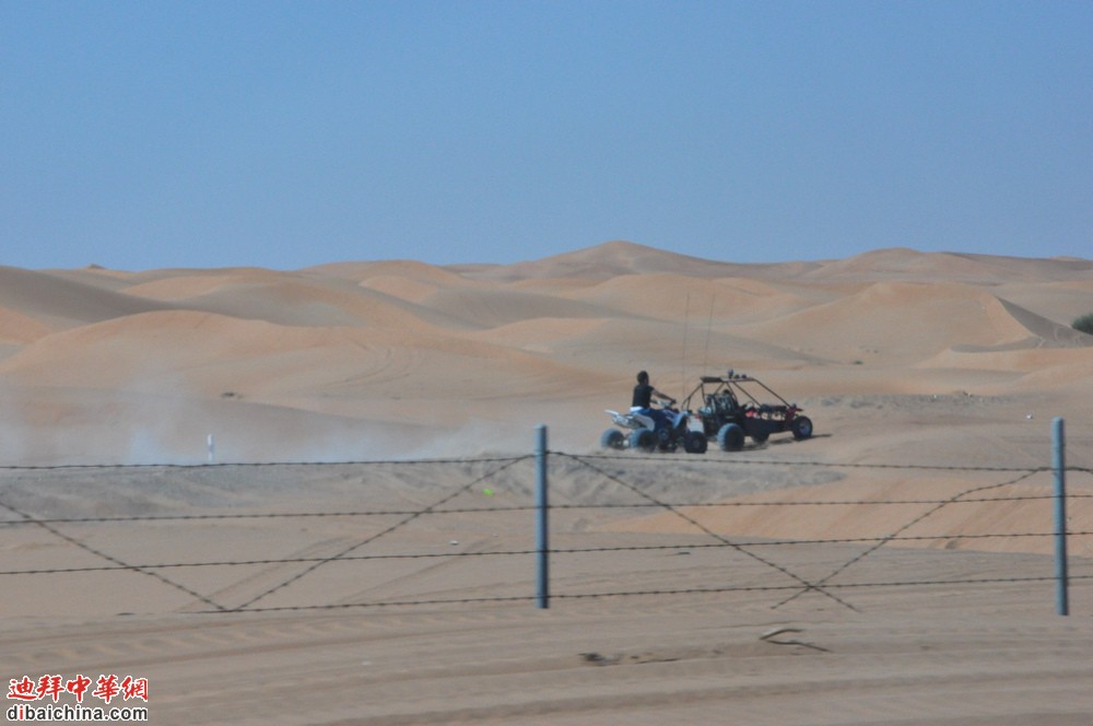 DSC_0787.jpg