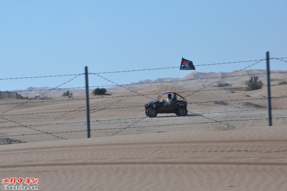 DSC_0788.jpg