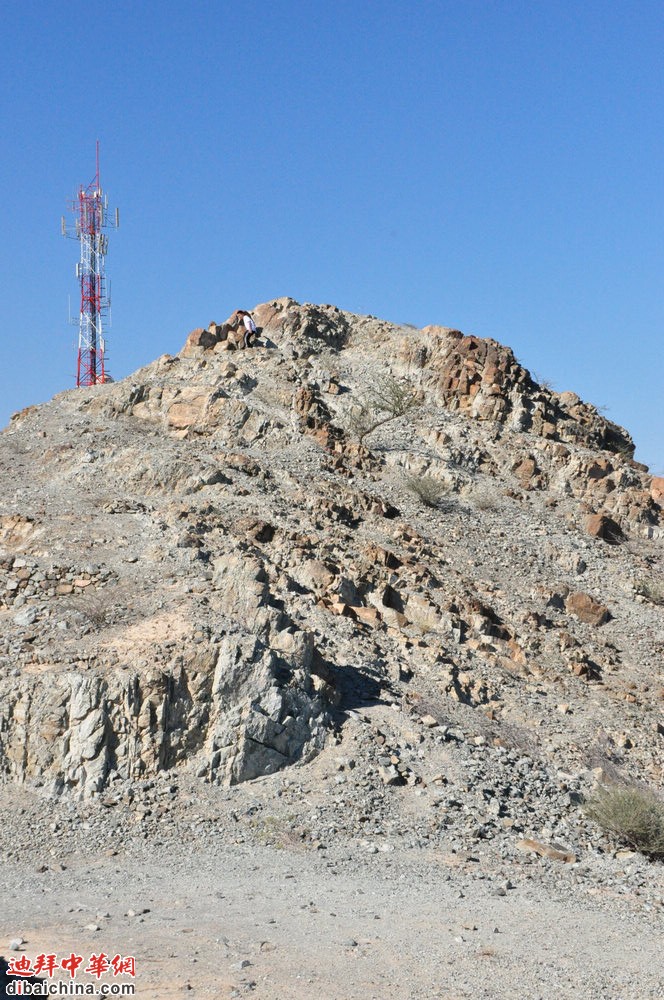 DSC_0900.jpg