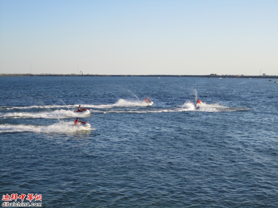 IMG_0870.jpg