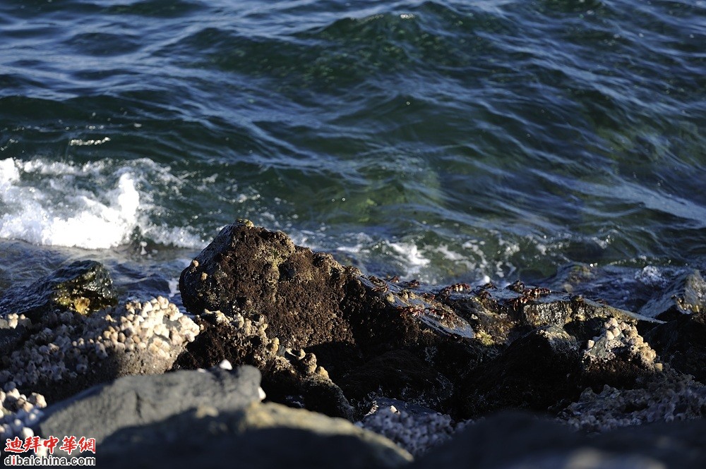 _DSC3508.JPG