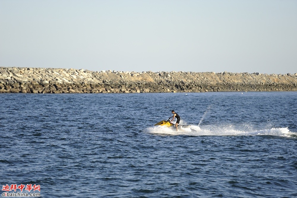 _DSC3524.JPG