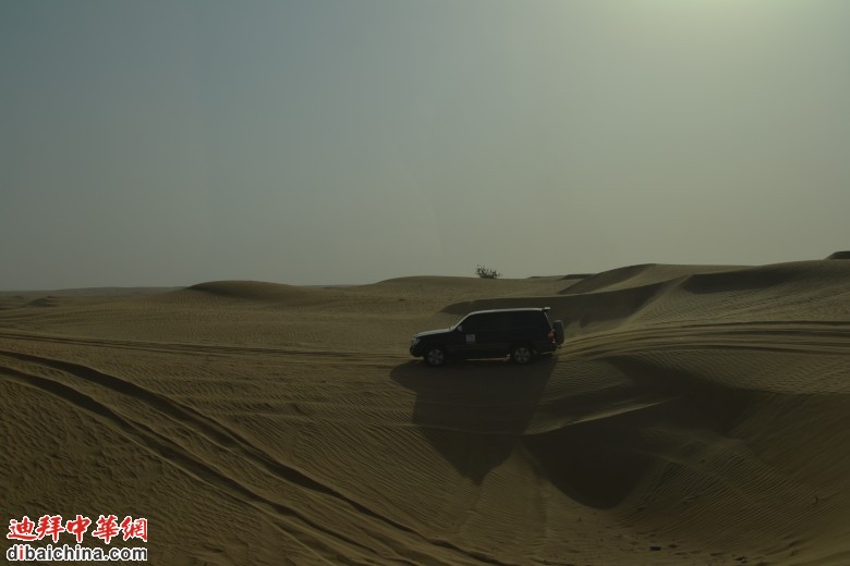 DSC_0099_conew1.jpg