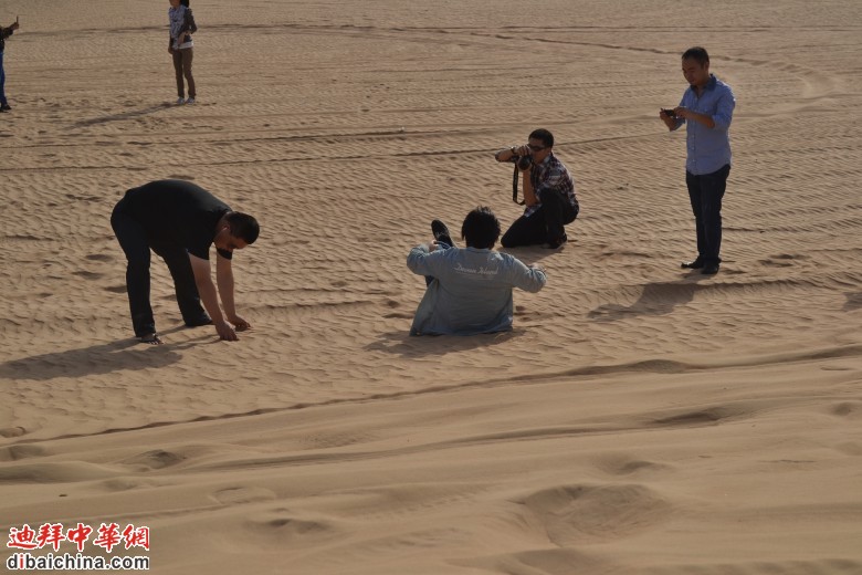 DSC_0115_conew1.jpg