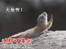 大地.jpg