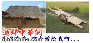 车子房子.jpg