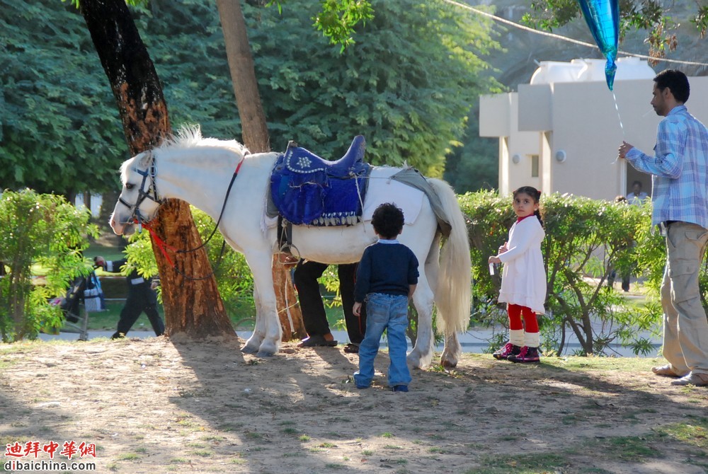 DSC_1204.JPG