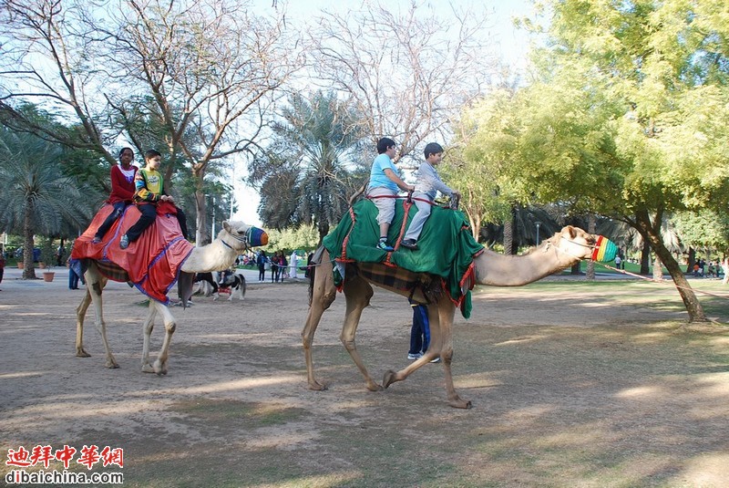 DSC_1208.JPG