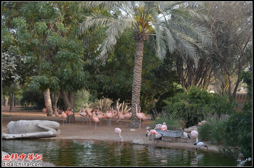 DSC_5590.jpg