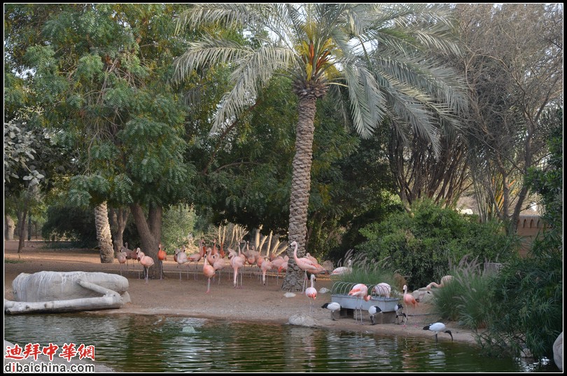 DSC_5589.jpg