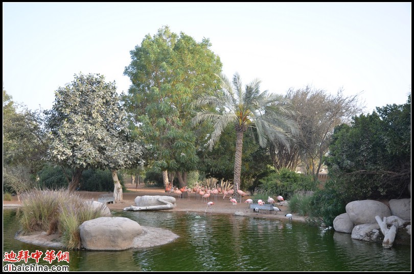 DSC_5591.jpg