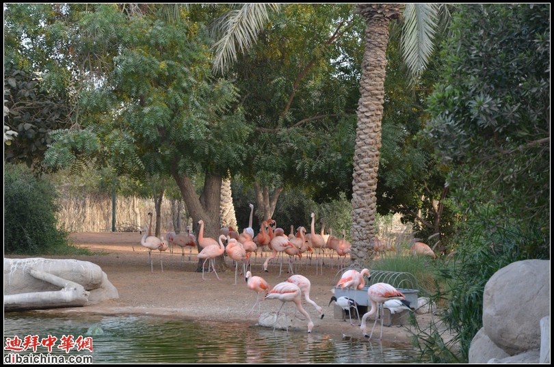 DSC_5592.jpg