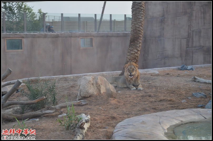 DSC_5614.jpg
