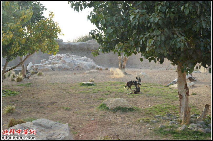 DSC_5605.jpg