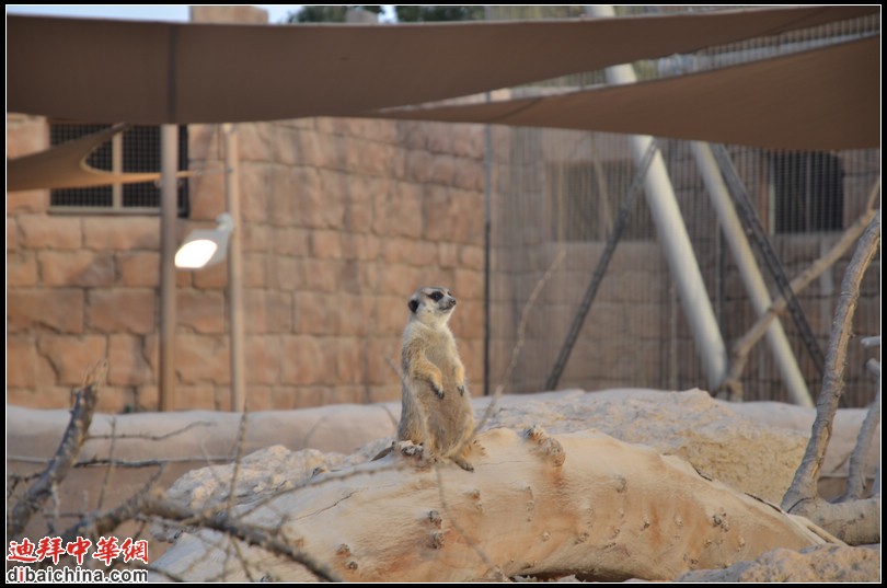 DSC_5612.jpg