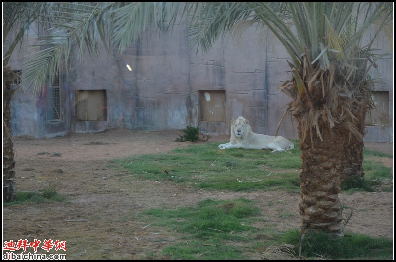 DSC_5625.jpg