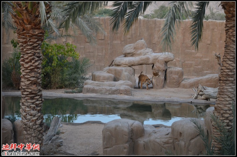 DSC_5626.jpg
