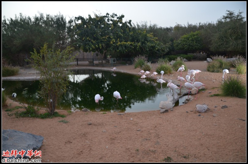 DSC_5643.jpg