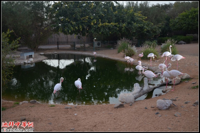 DSC_5644.jpg
