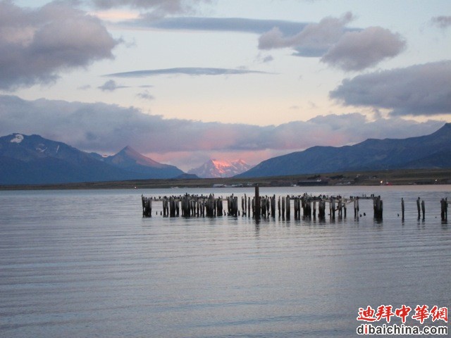 IMG_4236.jpg