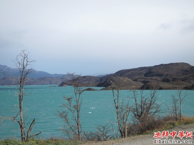 IMG_4300.jpg