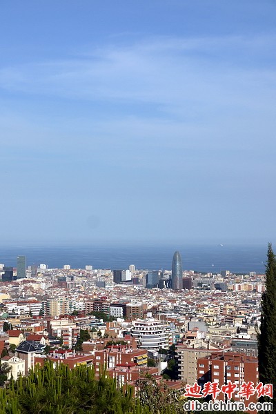 P1020109s.JPG