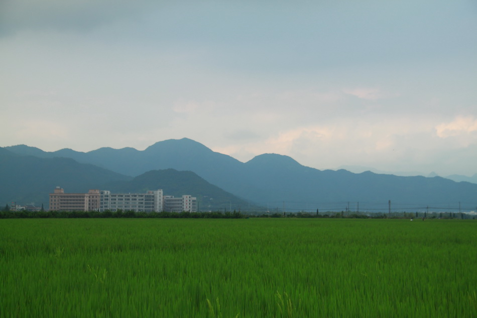 IMG_9084_缩小大小.JPG