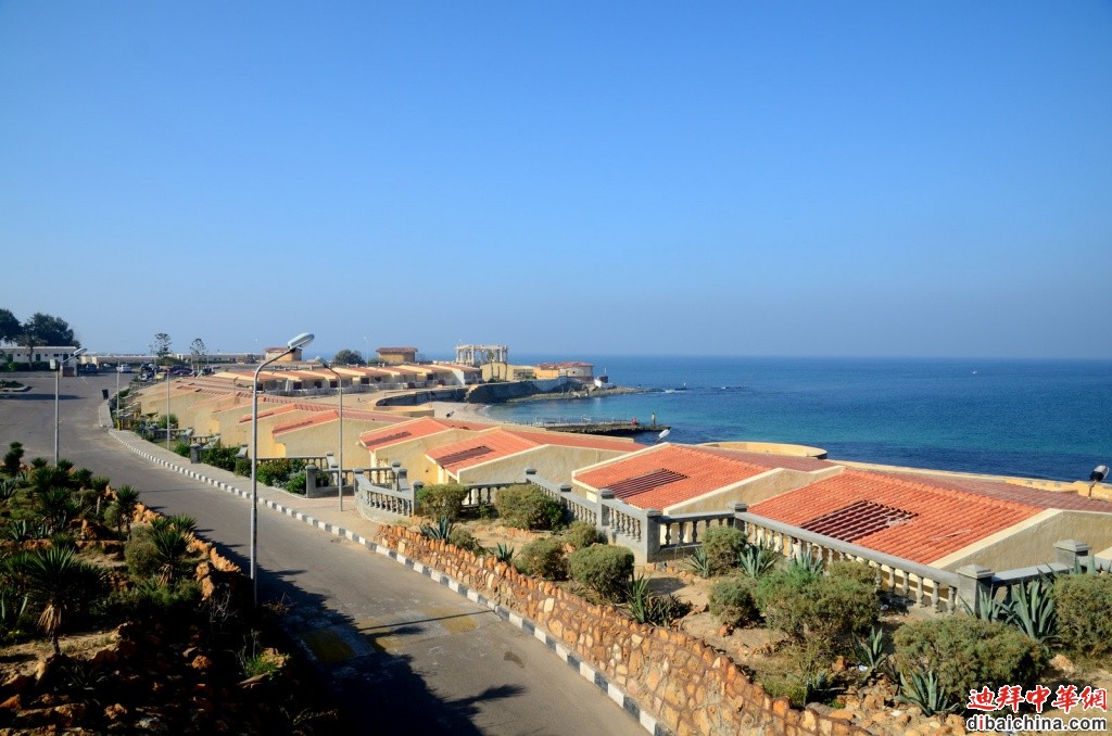 DSC_9686.jpg