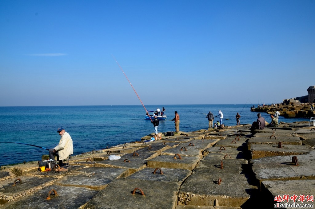 DSC_9762.jpg