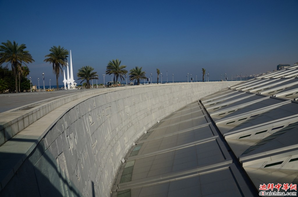 DSC_9778.jpg