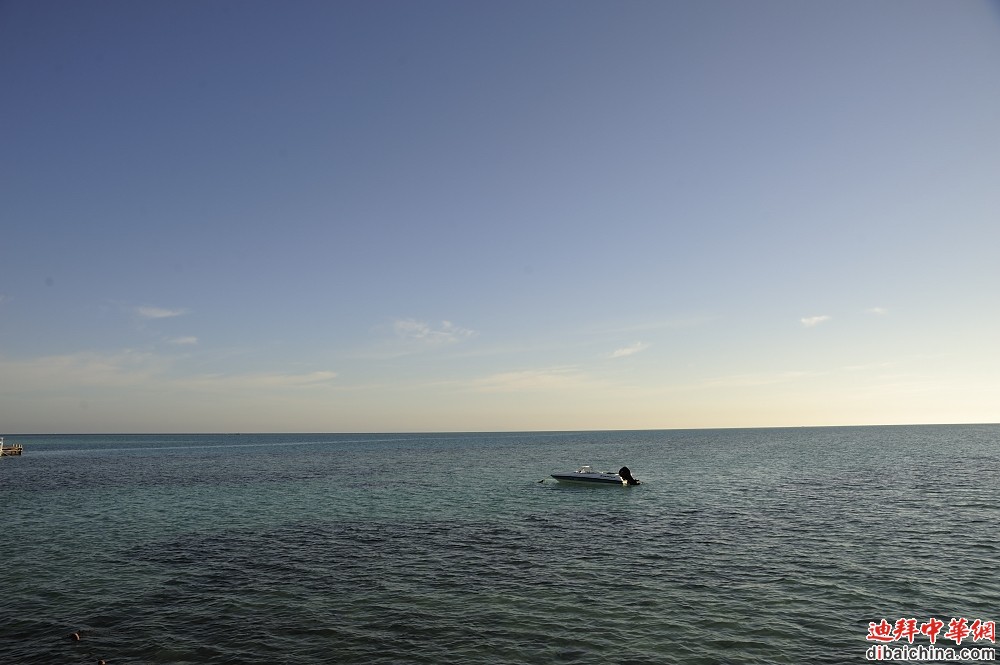 _DSC6295.JPG