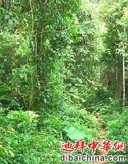 未命名.jpg