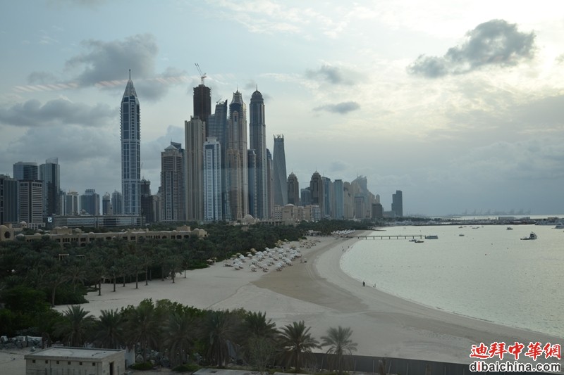 DSC_6374.JPG